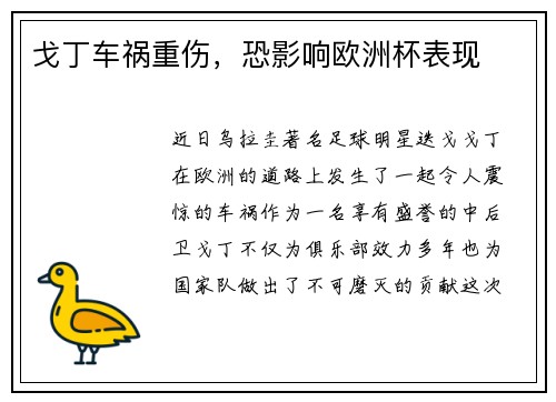 戈丁车祸重伤，恐影响欧洲杯表现