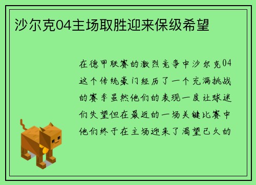 沙尔克04主场取胜迎来保级希望