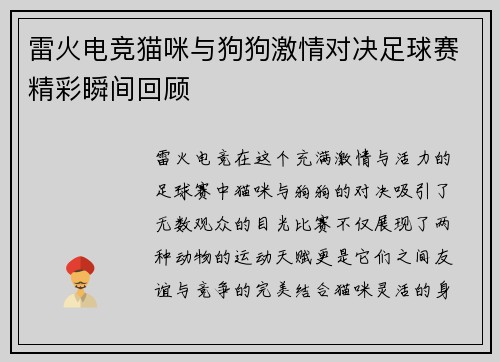 雷火电竞猫咪与狗狗激情对决足球赛精彩瞬间回顾